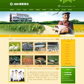 奇亿云网站 精美大气自适应网站模板