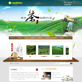 奇亿云网站 精美大气自适应网站模板