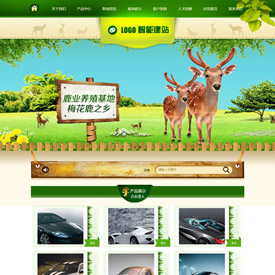 奇亿云网站 精美大气自适应网站模板