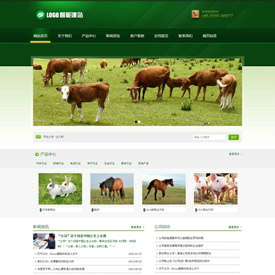 奇亿云网站 精美大气自适应网站模板