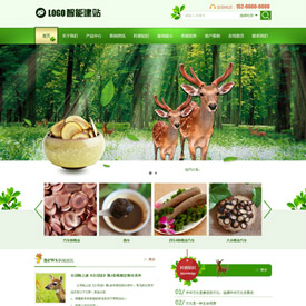 奇亿云网站 精美大气自适应网站模板