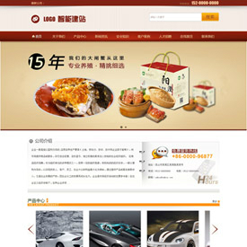 奇亿云网站 精美大气自适应网站模板