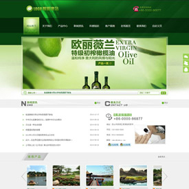 奇亿云网站 精美大气自适应网站模板