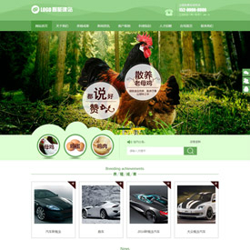 奇亿云网站 精美大气自适应网站模板