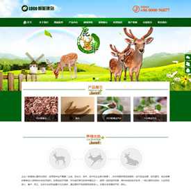 奇亿云网站 精美大气自适应网站模板