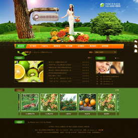 奇亿云网站 精美大气自适应网站模板