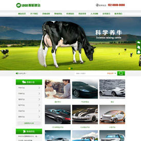 奇亿云网站 精美大气自适应网站模板