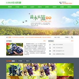 奇亿云网站 精美大气自适应网站模板