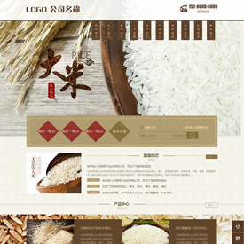 奇亿云网站 精美大气自适应网站模板