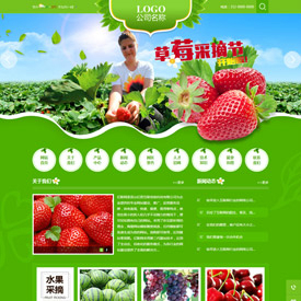 奇亿云网站 精美大气自适应网站模板