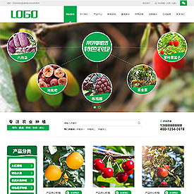 奇亿云网站 精美大气自适应网站模板